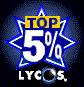Lycos TOP 5%